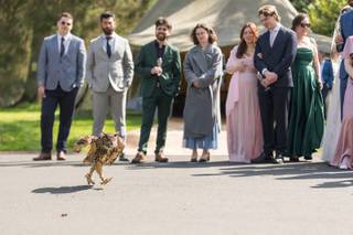 Barn Owl Ring Bearer - 9