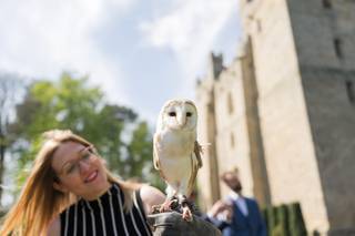 Barn Owl Ring Bearer - 10