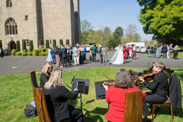 Music Students for Hire - 2