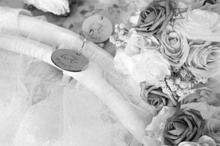 Swan Photography - 14