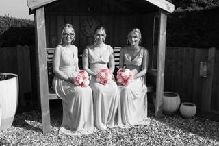 Swan Photography - 15