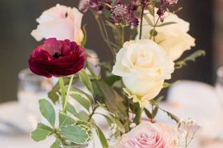 Beautiful Blooms - 27