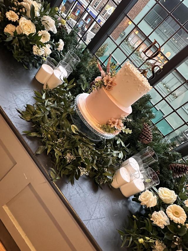 THE MODEST BLOOM - 1