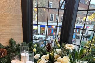 THE MODEST BLOOM - 6