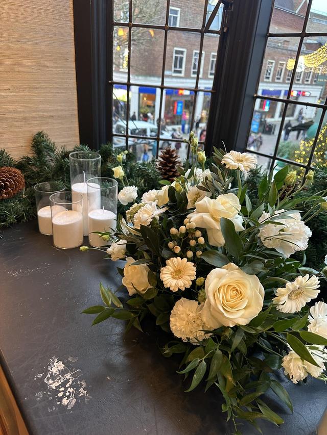 THE MODEST BLOOM - 2