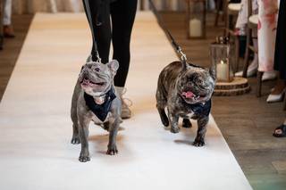 Fluffies Down the Aisle - 5