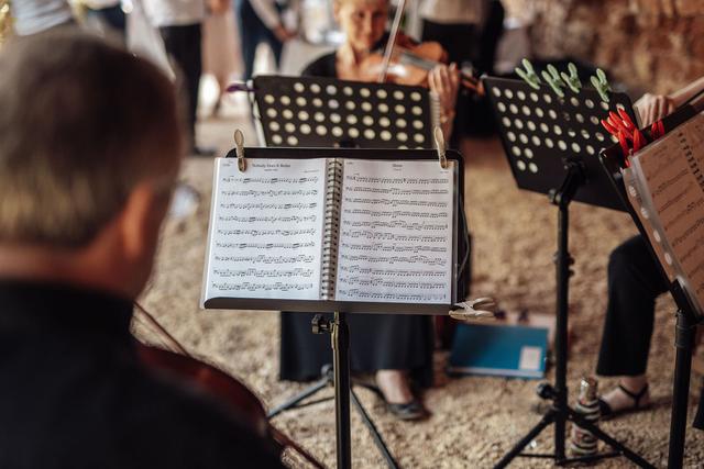 Sonore String Quartet - 1