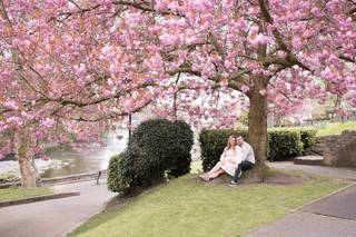 Sara Vieno Photography - 7