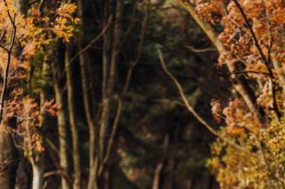 Abigail May Photography - 6