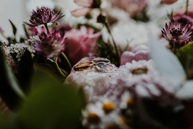 Abigail May Photography - 1