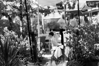 Carl Martin Photography - 5