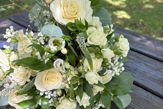 Occasions & Celebrations - 15