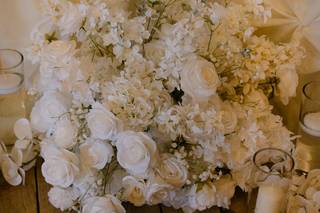 Treetop Events - 5
