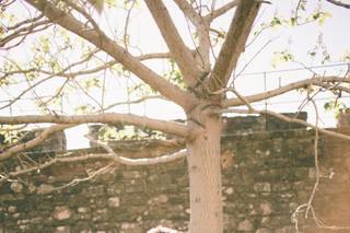 Ashley Hamilton Photography - 13