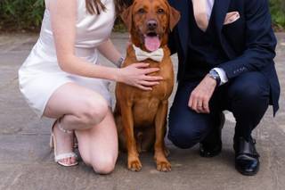 Waterhouse Weddings - 28
