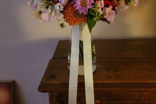 Olive and Bloom - 6