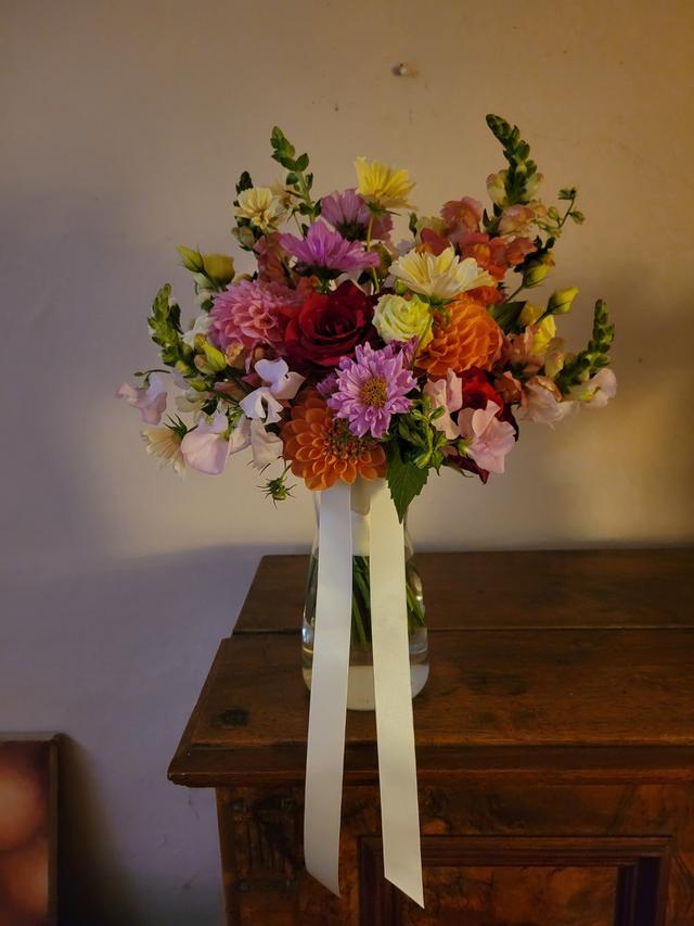 Olive and Bloom - 2