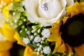 Paige Jordan Photography - 5