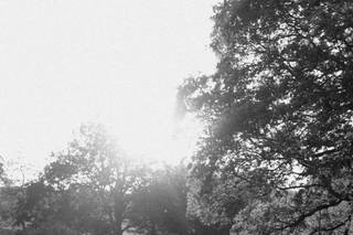 Dani Lou Photography - 6