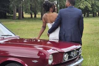 Shabang Car Hire - 23