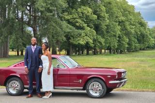 Shabang Car Hire - 24