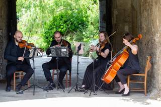 Camilli String Quartet - 5
