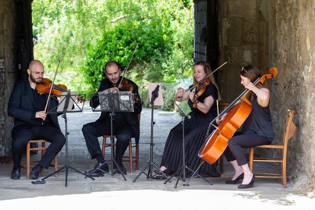 Camilli String Quartet - 2