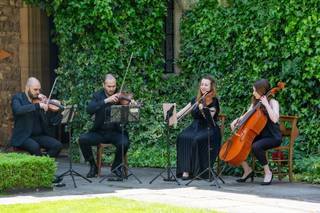 Camilli String Quartet - 6
