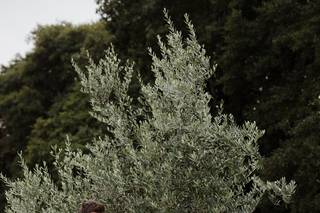 Britta Marie Photography - 5