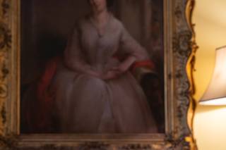 Camomile & Cornflowers - 5