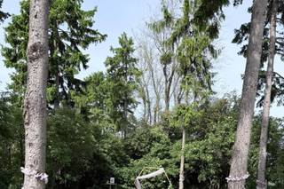 Redbank Barn - 6