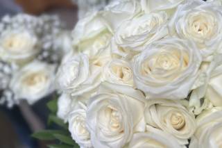 AOC Bridal Makeup Artist - 7
