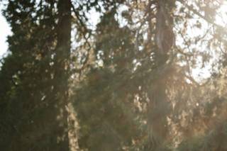 Sarah Anderson Photography - 16