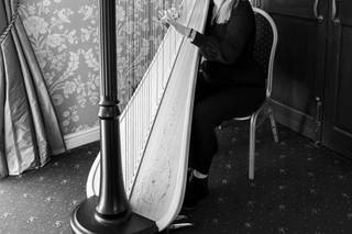 Wedding Harpist Thea - 1