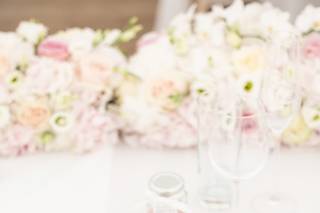 Love Lilly Limited - 5