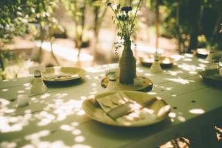 Ashley Hamilton Photography - 9