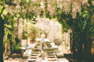 Ashley Hamilton Photography - 10