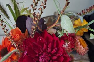 The Honey Seeker Floral Design - 7