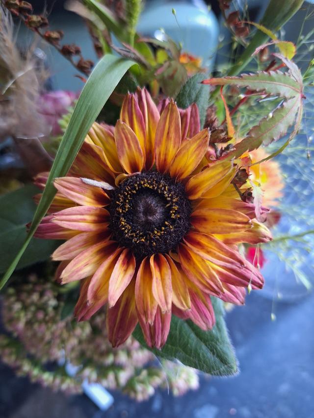 The Honey Seeker Floral Design - 3