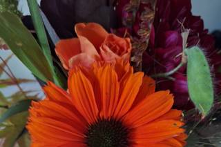 The Honey Seeker Floral Design - 9