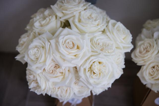 Beautiful Blooms - 4