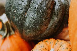 Emily Horton Photography - 5