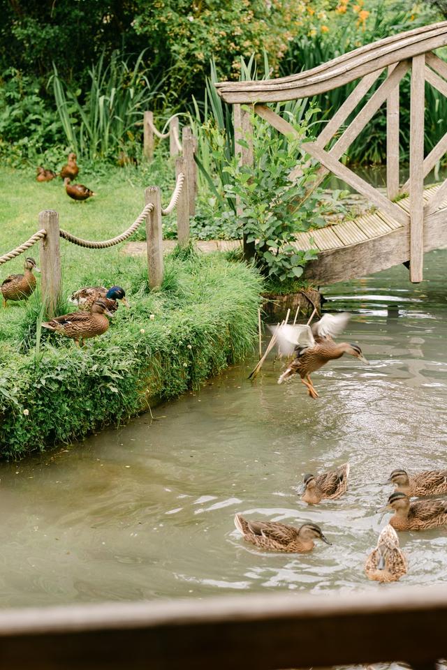 South Farm - 2