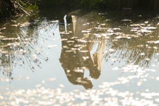 Acronym Photography - 7