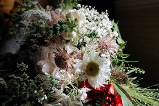 IPG Photography - 5