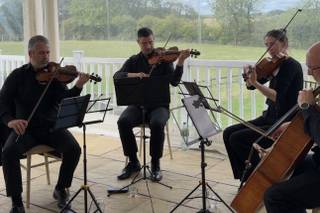 440 String Quartet - 6