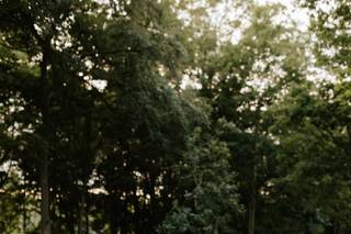 Shotesham Park - 5