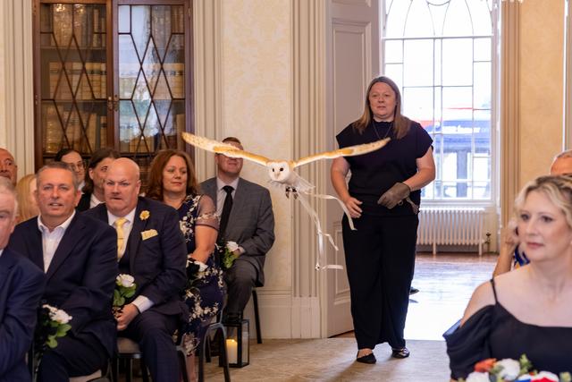 Barn Owl Ring Bearer - 1