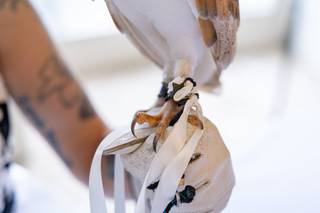 Barn Owl Ring Bearer - 6