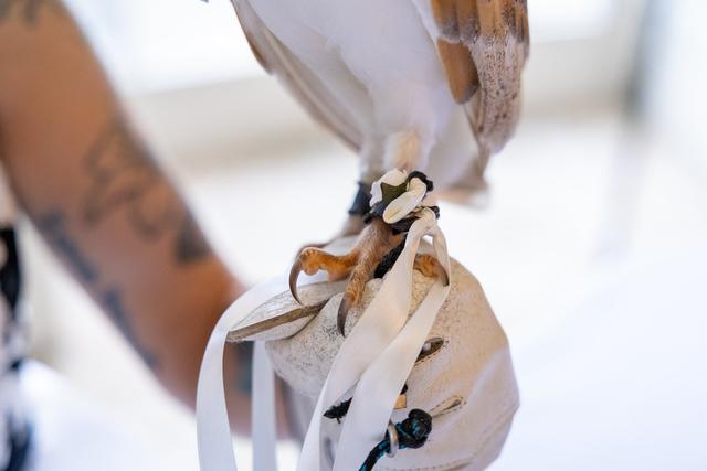 Barn Owl Ring Bearer - 3